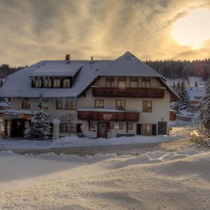Landhotel und Apartments Sonneck